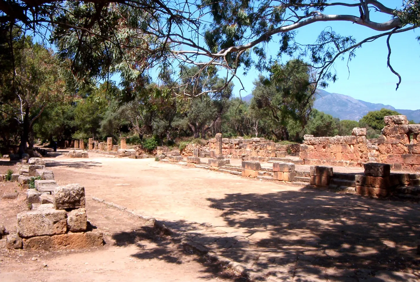 Low stone walls and column fragments beneath trees at Tipasa